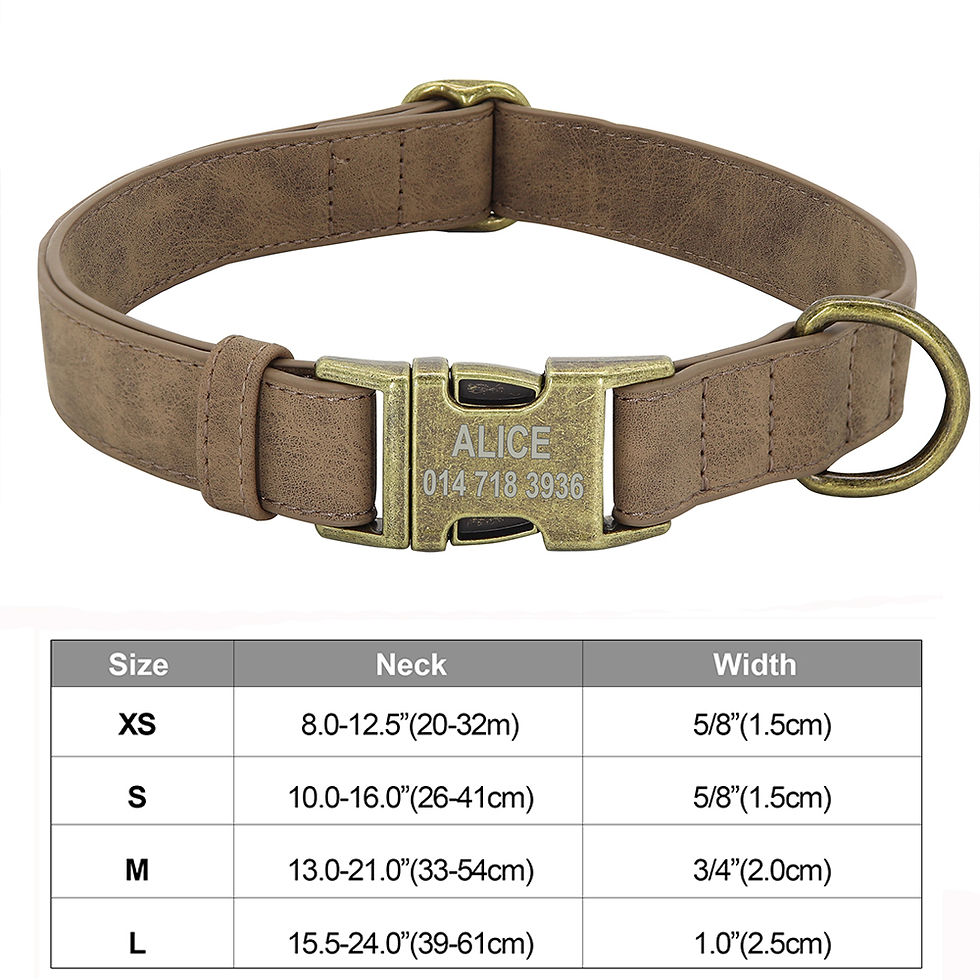 Thumbnail: Dog Collars Personalized Dog Buckle Collars Free Engraving Name ID Tags For Smal