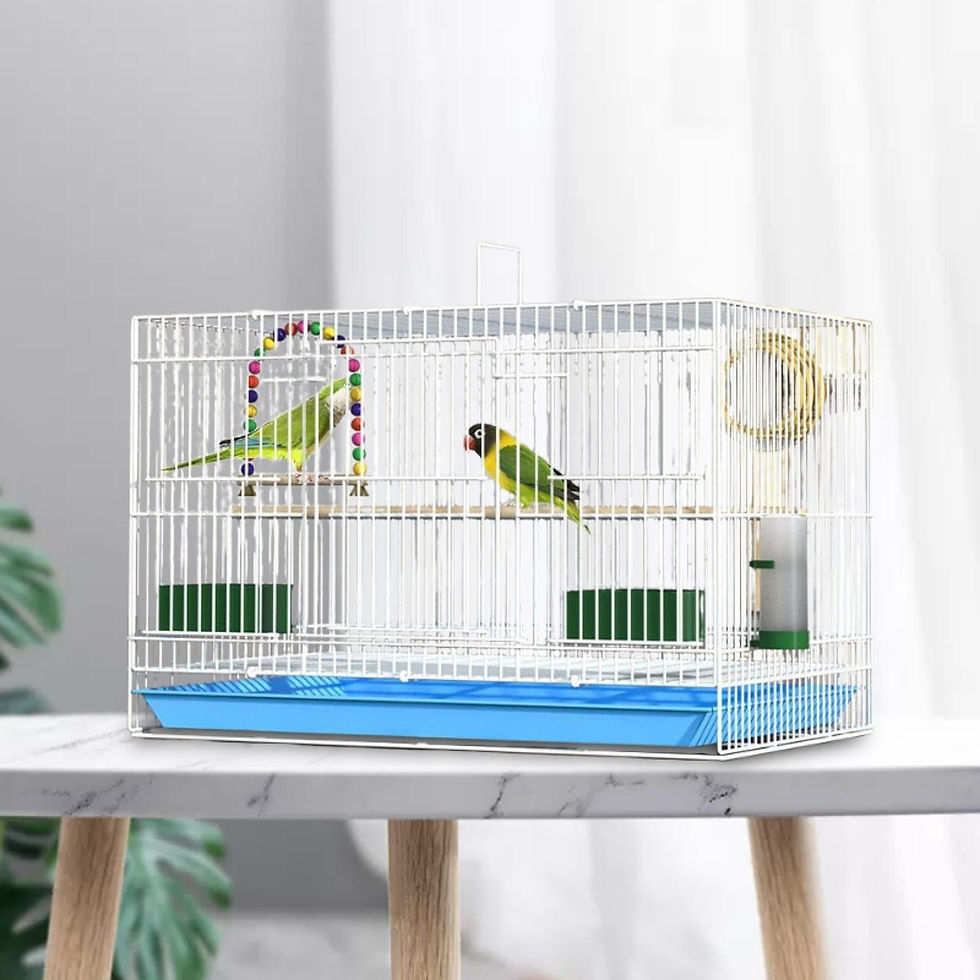 Thumbnail: Travel Birds Cage Portable with Handle Parrot Cage for Finches Home Lovebirds