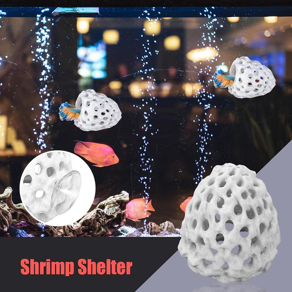 Thumbnail: Aquarium Small Shrimp Cave Mini Porous Betta House Fish Hiding Spots Shrimp Shel
