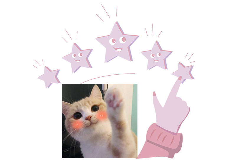 Thumbnail: Self-Assembly Ceramic Double Cat Bowl Dog Bowl 400ML Pet Feeding Water Bowl Cat 