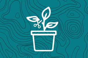 The Good Food Institute (GFI)