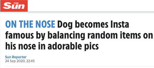 Screen Shot 2020-10-21 at 13.12.35.jpg