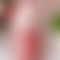 Strawberry Frappe/ Milkshake