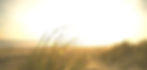 header.jpg