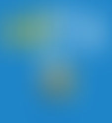 Cómo saltar la publicidad y descargar los Pdf's gratuitos.