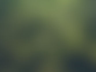 El problema de las drogas en España