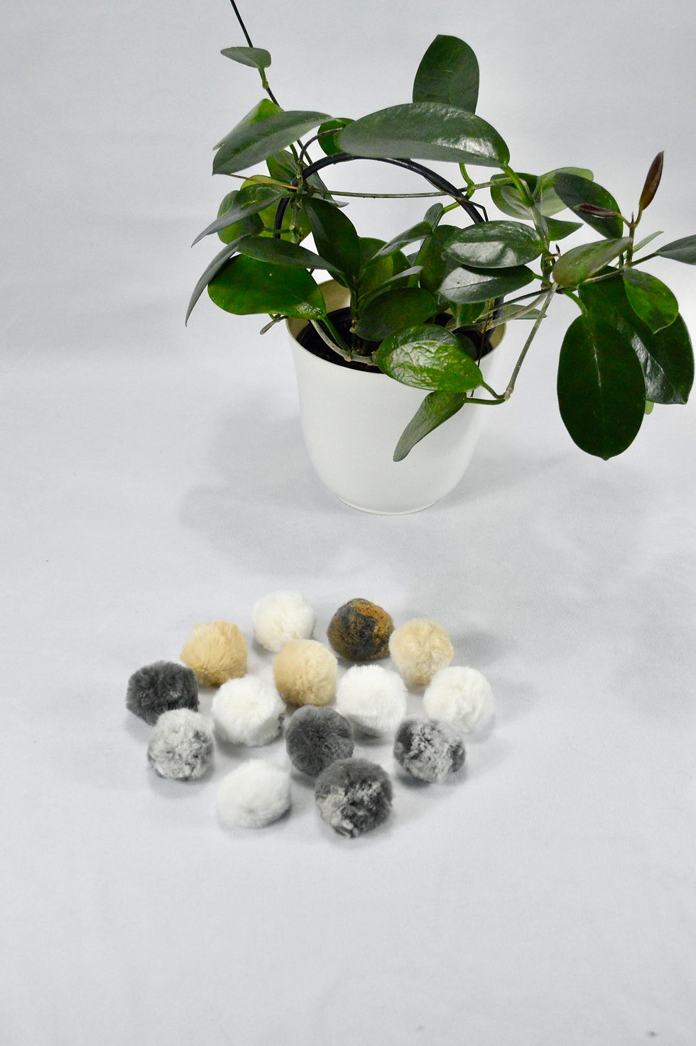 Thumbnail: Mini Rabbit Fur Pom Pom Cat Toy - Set of 5 (Wholesale)