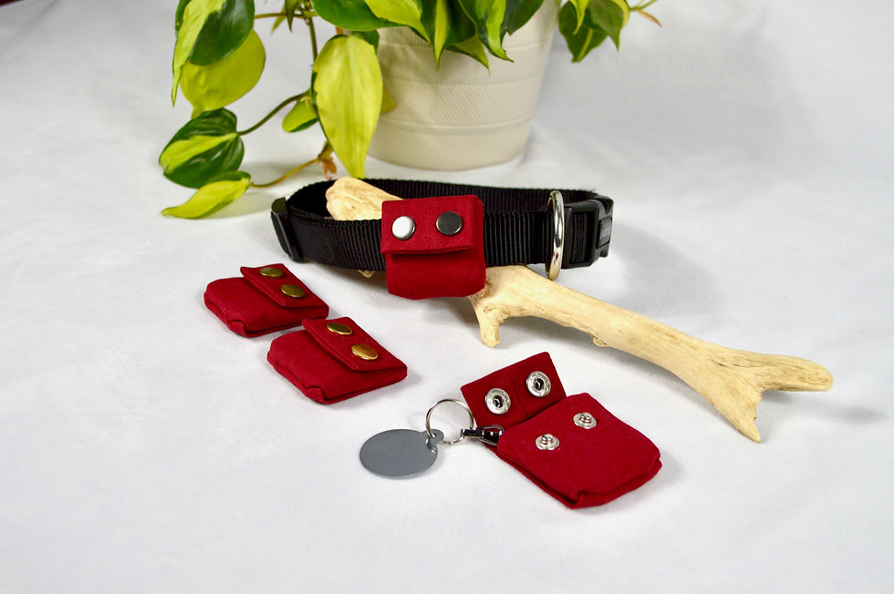 red dog tag silencer pouch