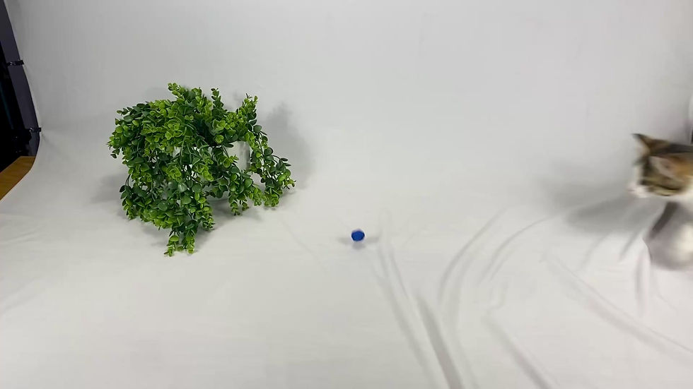 Thumbnail: Mini Monkey Fist - Set Of 3 Cat Toss Toy