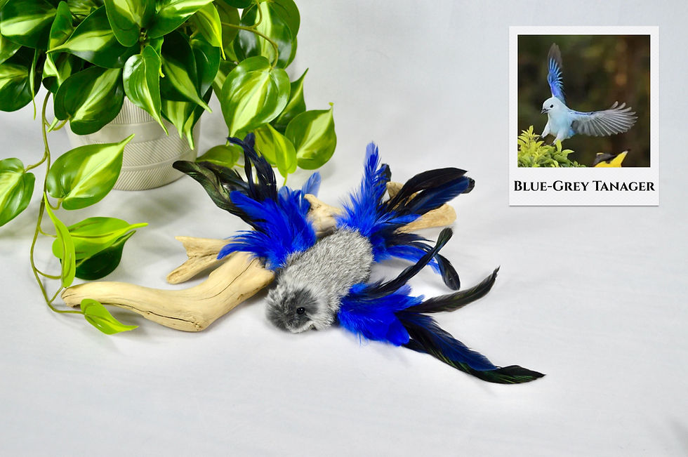 Thumbnail: Bird Cat Toy - Rabbit Fur Teaser Toy