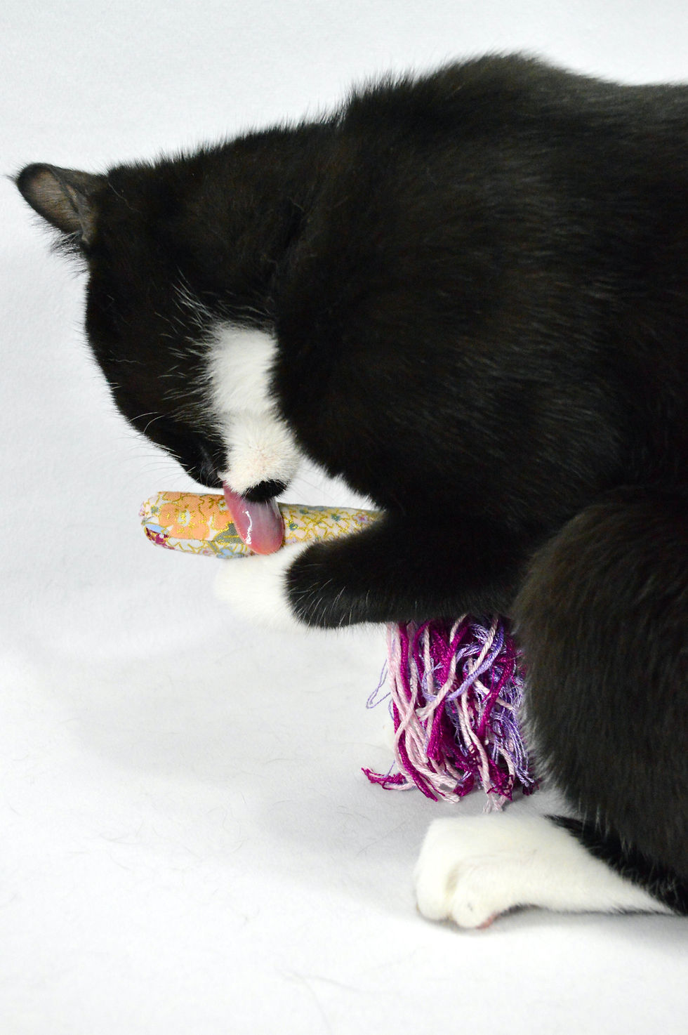 Thumbnail: Catnip Stick - Cat Toss Toy With Tassel