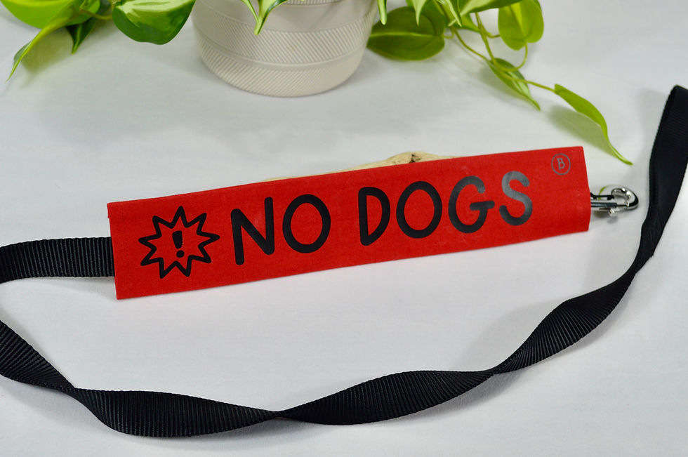 Thumbnail: True Red - Dog Leash Sleeve