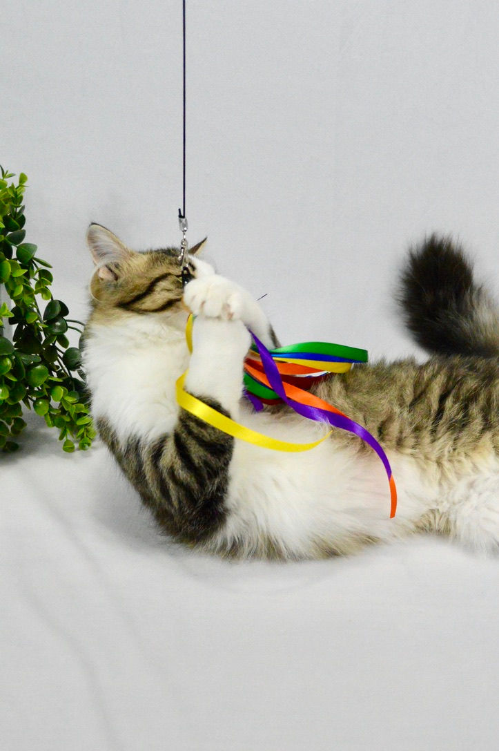 Thumbnail: Satin Ribbon - Cat Teaser Toy (Wholesale)