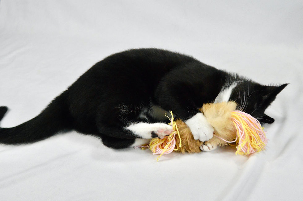 Thumbnail: Rabbit Fur Toss Toy with Bamboo Tassels