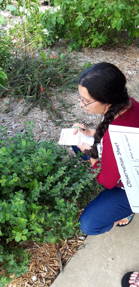 PLT and WILD EC workshop.jpg