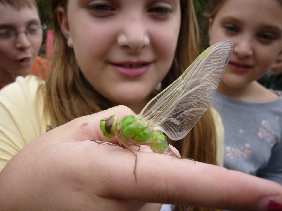 girl with dragonfly.JPG