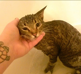 Luigi baby bath_edited.jpg