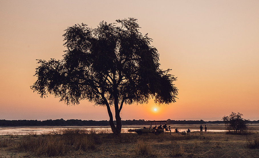 Sungani Bush Meals