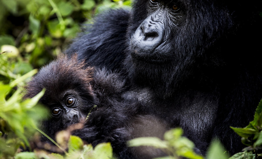 Rwanda