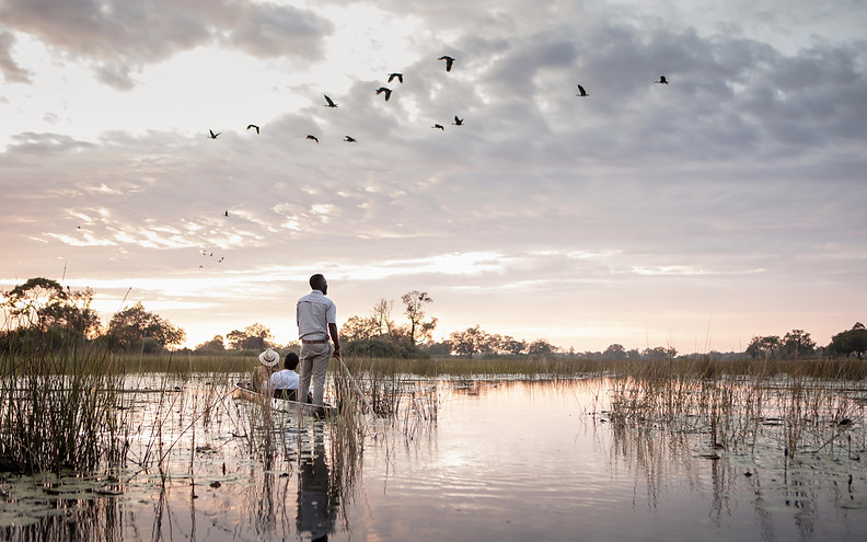 Vumbura Plains Camp