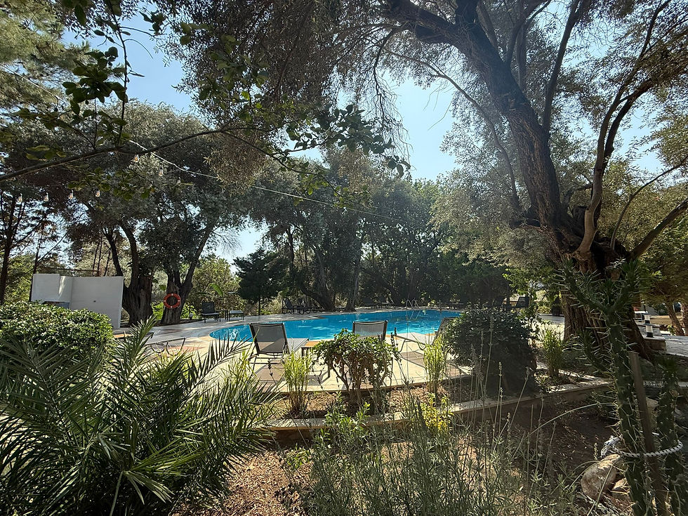 WhatsApp Image 2025-07-05 at 07.27.04