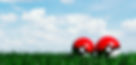 Pokemon Background.jpg