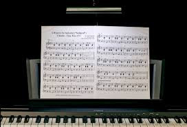 Why learn to play an musical instrument?