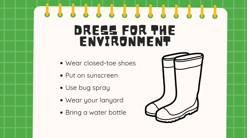 Thumbnail: Staying Safe in Nature Lesson Slides
