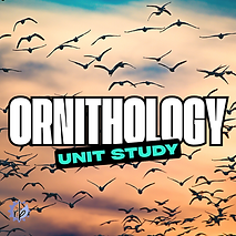 Ornithology Unit Study Graphic (1).png