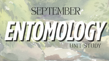 September Unit Study: Entomology