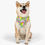 Thumbnail: Life is Sweet (Purple) Pet Bandana Collar