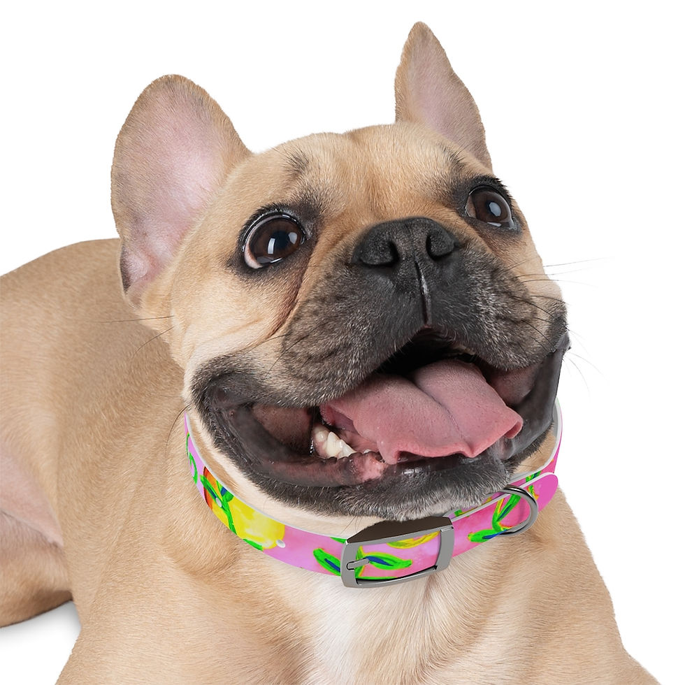 Thumbnail: Life is Sweet Dog Collar