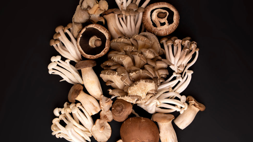 Creamy Mushroom Sauce with Thyme, Sage & Truffle Oil: A Decadent Italian Classic Reimagined