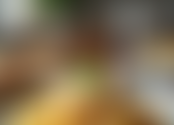 Northern vs. Southern Italian Pasta. What Sets Them Apart?