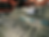 FullSizeRender.jpg