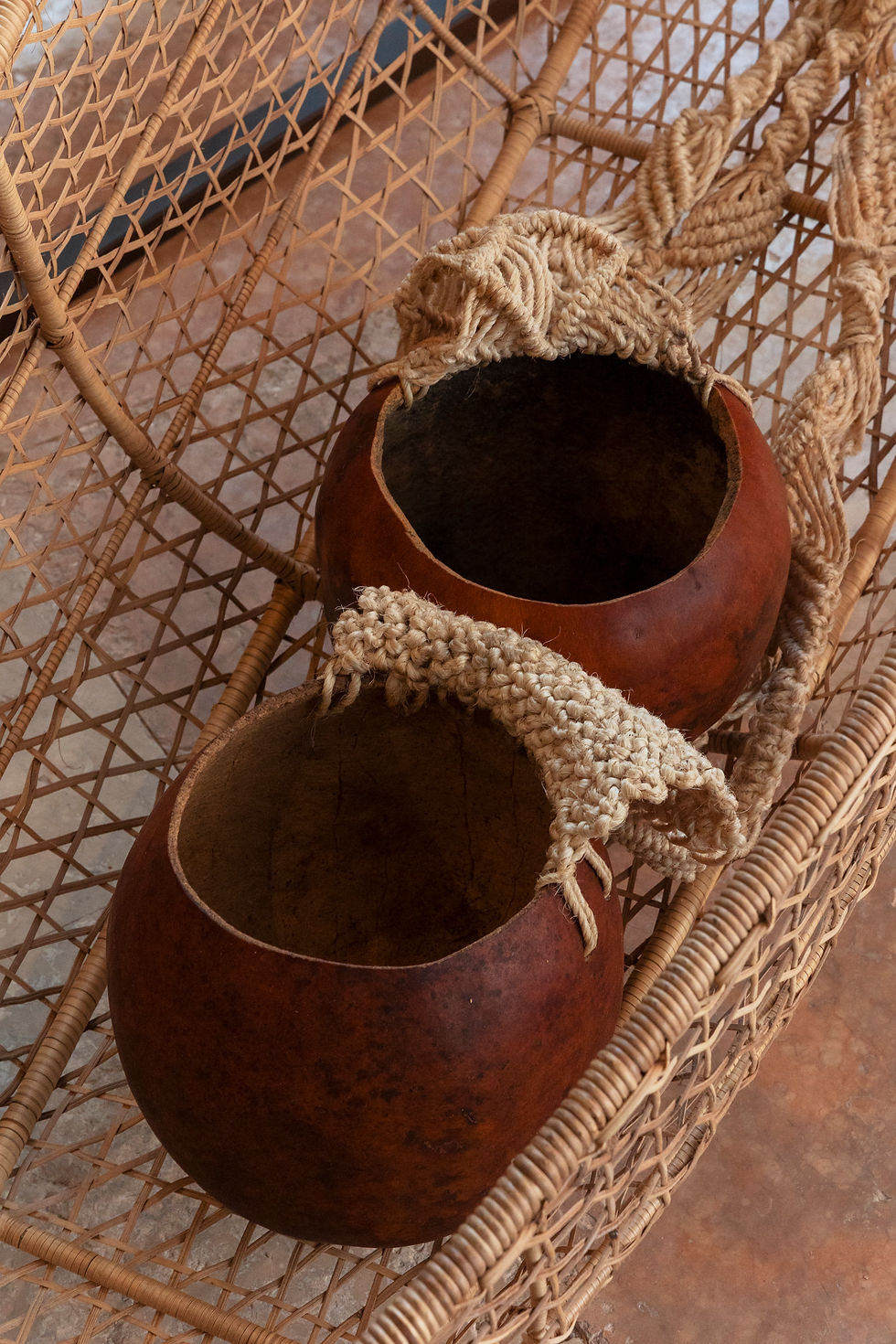 002_AMAZONIEN_MMVEGA_ LOW.jpg