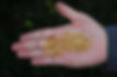 Yang Yexin 2.jpg
