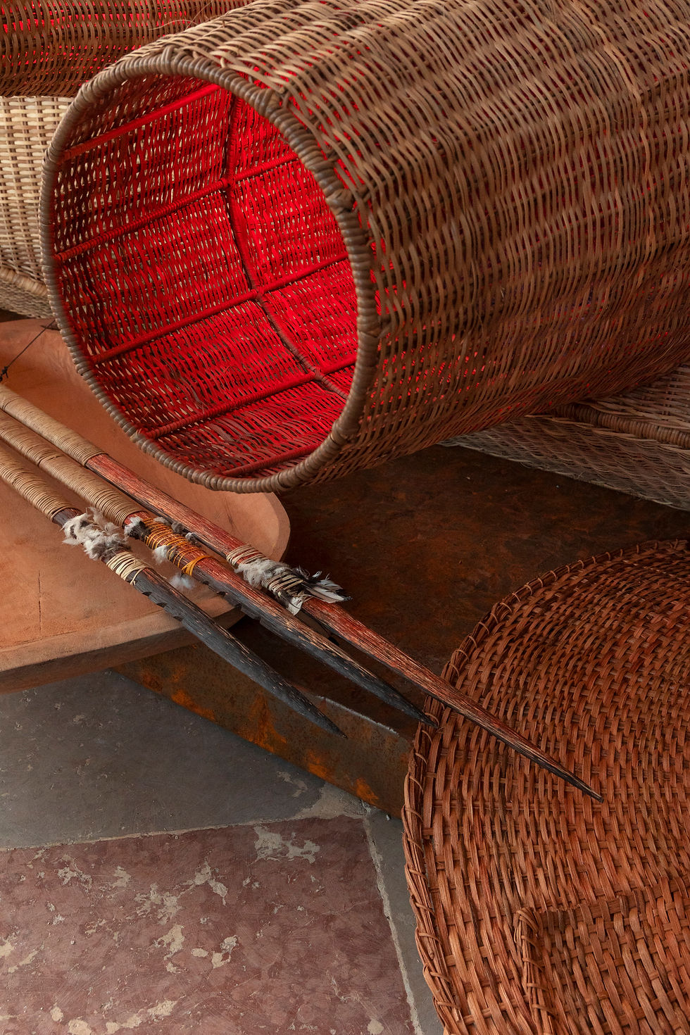 007_AMAZONIEN_MMVEGA_ LOW.jpg