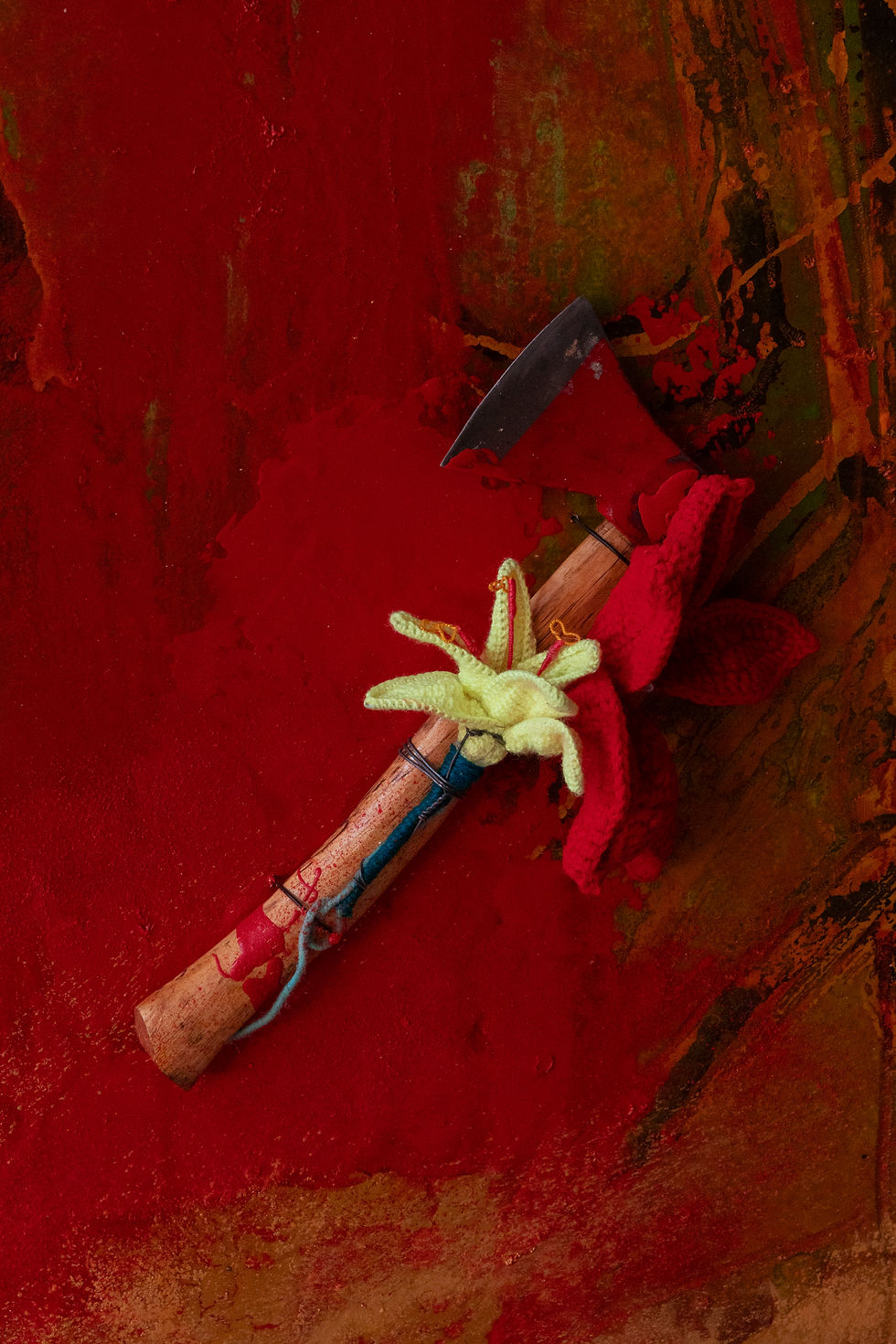 005_AMAZONIEN_MMVEGA_ LOW.jpg