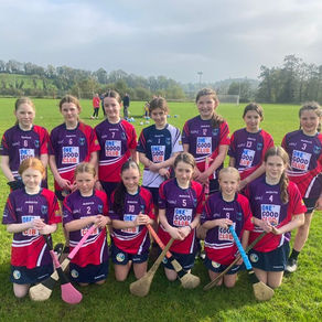 Camogie Blitz