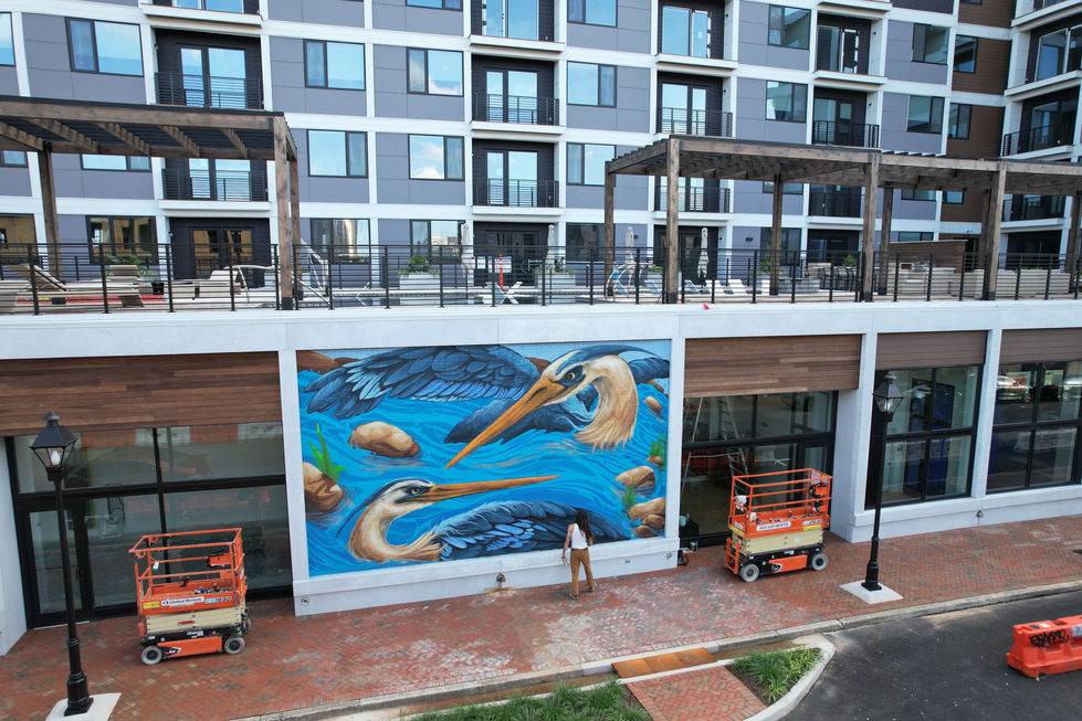 a painting of birds is being painted on the side of a building