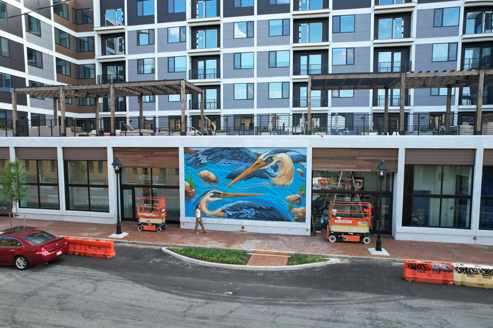 a large mural of birds is being painted on the side of a building