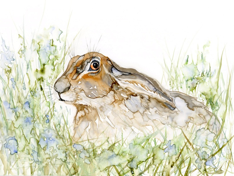 Heather Fitz Watercolour Artist