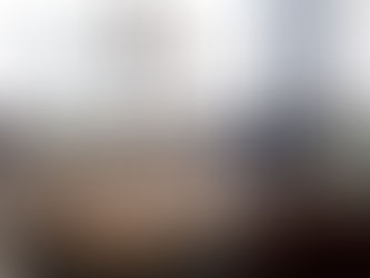 SINGER 188 professional