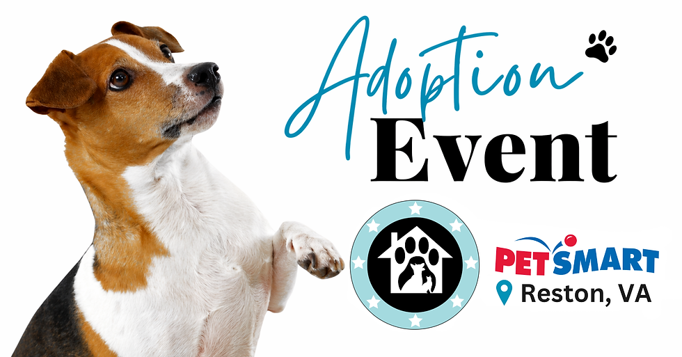 Reston, VA - PetSmart Adoption Event