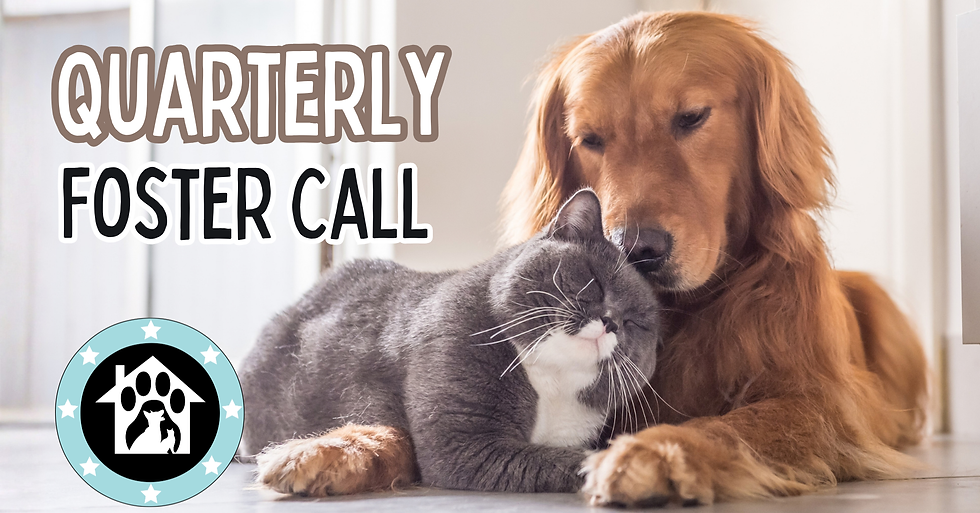 Quarterly Foster Call