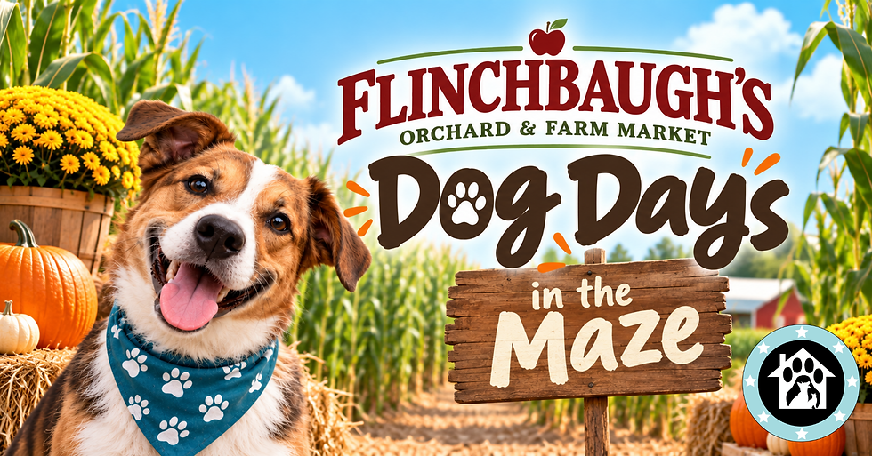 Hellam, PA - Dog Days in the Maze