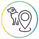 pet-lo.avif
