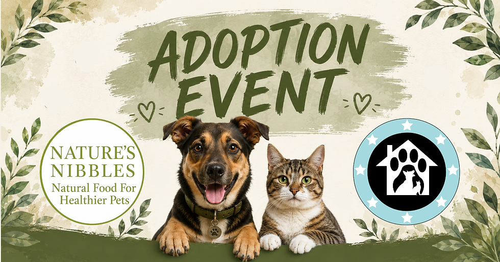 Alexandria, VA - Nature's Nibbles Adoption Event
