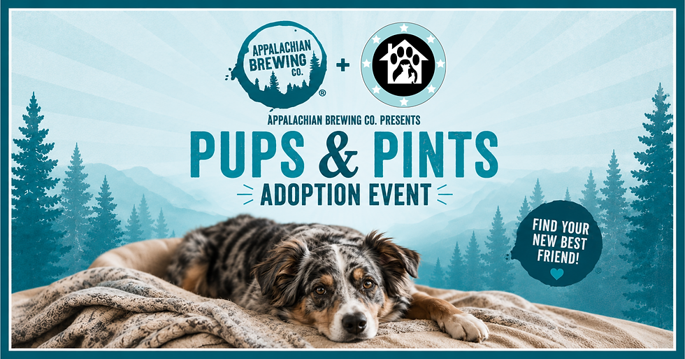 Gettysburg, PA - Pups and Pints